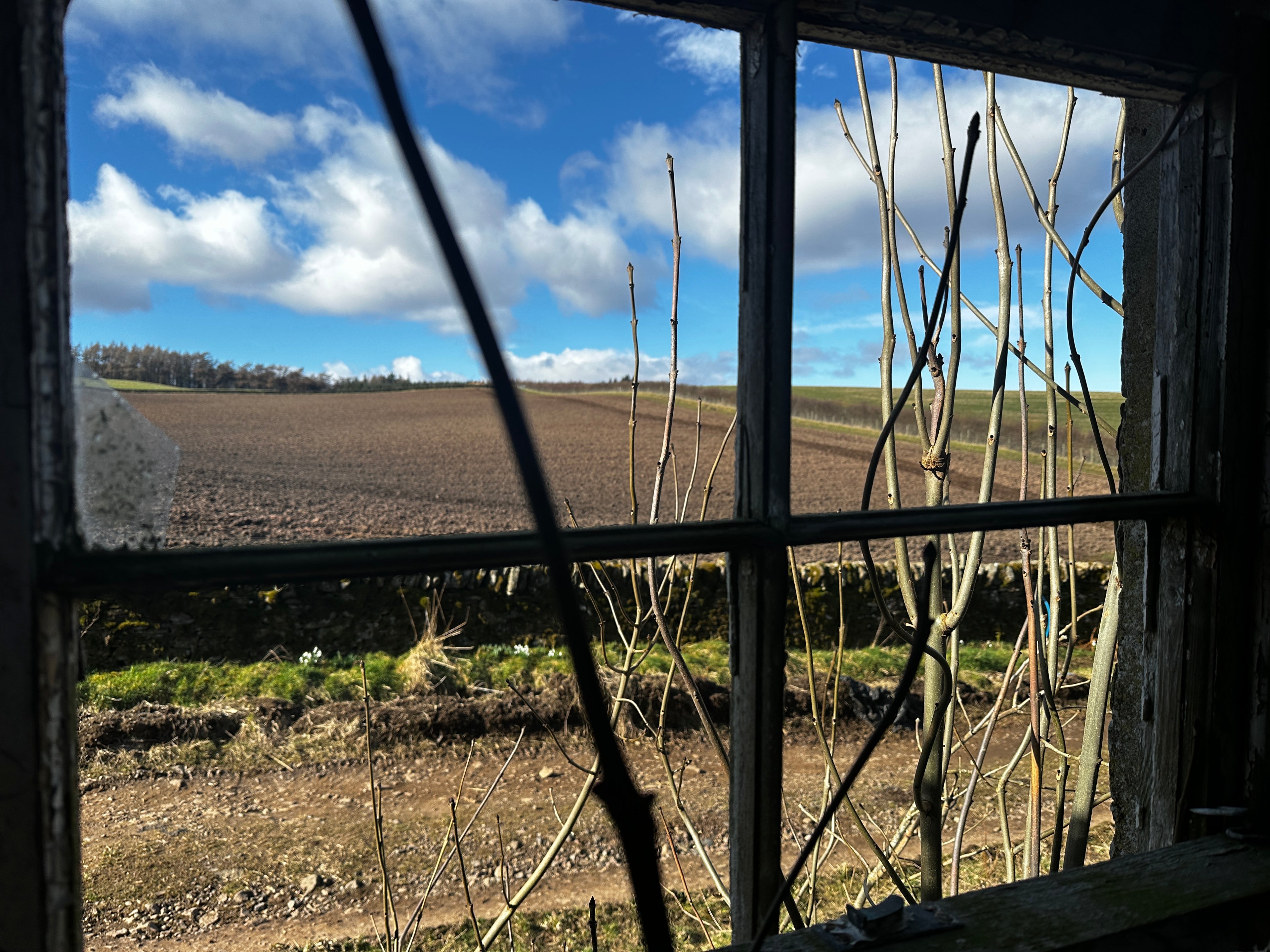 Window out to Land. Duthchas. Land Nature People Culture